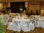 Chair Covers by Yoli profile picture