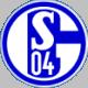 FC Schalke 04 profile picture