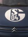 FC Schalke 04 profile picture