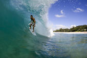 Dan Taylor Surfboards profile picture