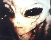 Grey Alien Database profile picture