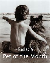 Kato's Pet of the Month♥ profile picture