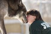 Wolf Creek Habitat profile picture