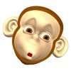 MONKEY profile picture