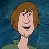 shaggy profile picture