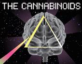 THE CANNABINOIDS profile picture