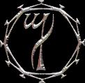 THORN profile picture