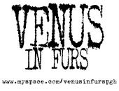 VENUS IN FURS profile picture