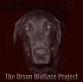 The Orson Wallace Project profile picture