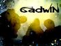 Gadwin profile picture