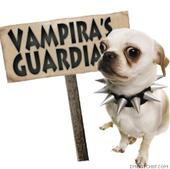 VaMpiRa_â€ _ShiK profile picture