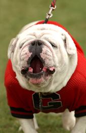 Uga VI profile picture