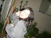 Fuchiwinkle profile picture