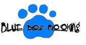 Blue Dog Booking profile picture