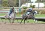 Los Alamitos Race Course profile picture