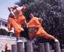 Shaolin Kung Fu profile picture