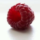 rasberryproductions