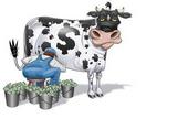 Cash Cow Productions profile picture