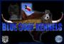 BLUE COAT KENNELS OF TEXAS profile picture