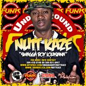 Nutt Kaze & Green Day Remix! New DJ E.Nyce Mix profile picture