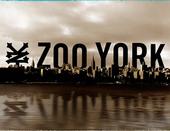 Zoo York Crew profile picture