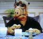 alf profile picture