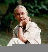 Jane Goodall profile picture