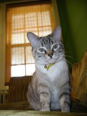 Charley profile picture