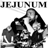 Jejunum - deska Larisa 79 komplet ke staÅ¾enÃ­!!! profile picture