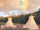 Native American Sounds profile picture