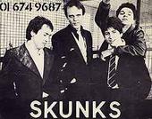 THE SKUNKS (also know as The Craze) Official Site profile picture