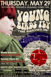 Young Birds Fly profile picture