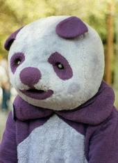 Purple Pandas profile picture