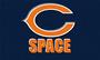 Bears Space™ profile picture