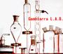 Gambiarra L.A.B. profile picture