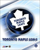 Toronto Maple Leafs profile picture