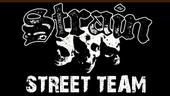 STRAIN STREET TEAM profile picture