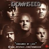 Downseed profile picture