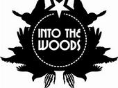 into the woods profile picture