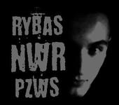 RybaS profile picture