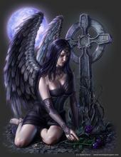 Gothic Angel T.D.G. T.I.R. profile picture