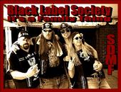 â™¥ Precious Metal SDMF et al profile picture