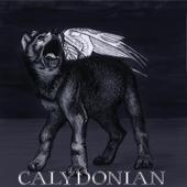 Calydonian profile picture