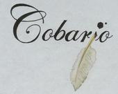 Cobario (3 NEW songs online) profile picture