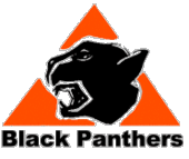 theblackpanthers