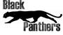 Black Panthers profile picture