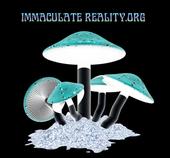 Immaculate Reality.org profile picture