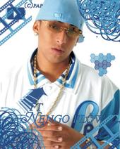 Nengo Flow profile picture