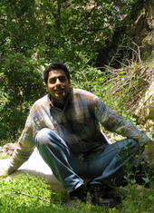 Mohammad Hossein profile picture