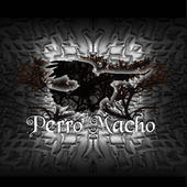 Perro Macho profile picture